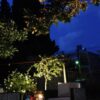 ΑΓΙΟΣ ΝΙΚΟΛΑΟΣ - ΑΓΙΟΣ ΝΙΚΟΛΑΟΣ 0, 34300 ΛΟΥΤΡΑ ΑΙΔΗΨΟΥ