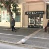 KALAMATA CITY CENTER - ΣΙΔΗΡΟΔΡΟΜΙΚΟΥ ΣΤΑΘΜΟΥ 7, 24100  ΚΑΛΑΜΑΤΑ