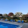 ΚΑΛΥΒΕΣ ΡΙΖΟΡΤ – KALIVES RESORT - ΚΑΛΥΒΕΣ ΠΟΛΥΓΥΡΟΥ 0, 63100  ΚΑΛΥΒΕΣ ΠΟΛΥΓΥΡΟΥ